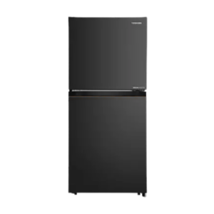 Toshiba GR Series 2 Doors Inverter Fridge 230L